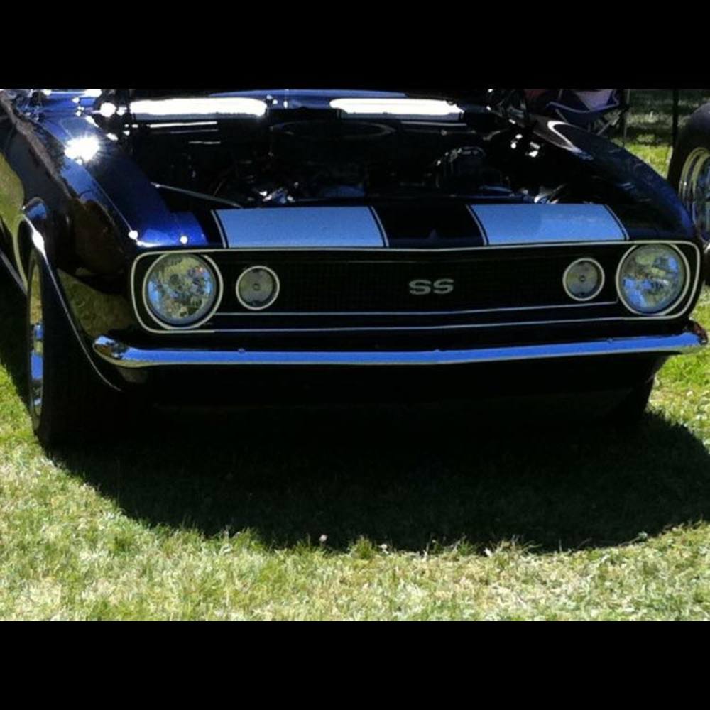 Meet your Posher, Donna